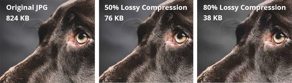 Compress Images for Faster Loading